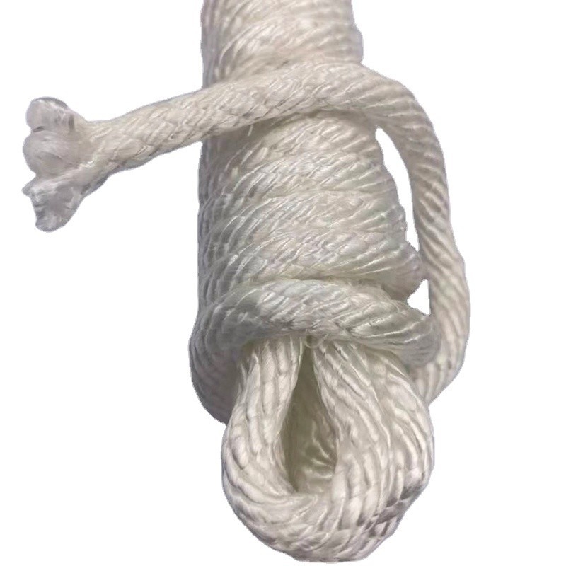 Rope à haute résistance 100% polyester 10 mm