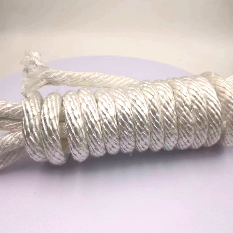 Rope à haute résistance 100% polyester 10 mm