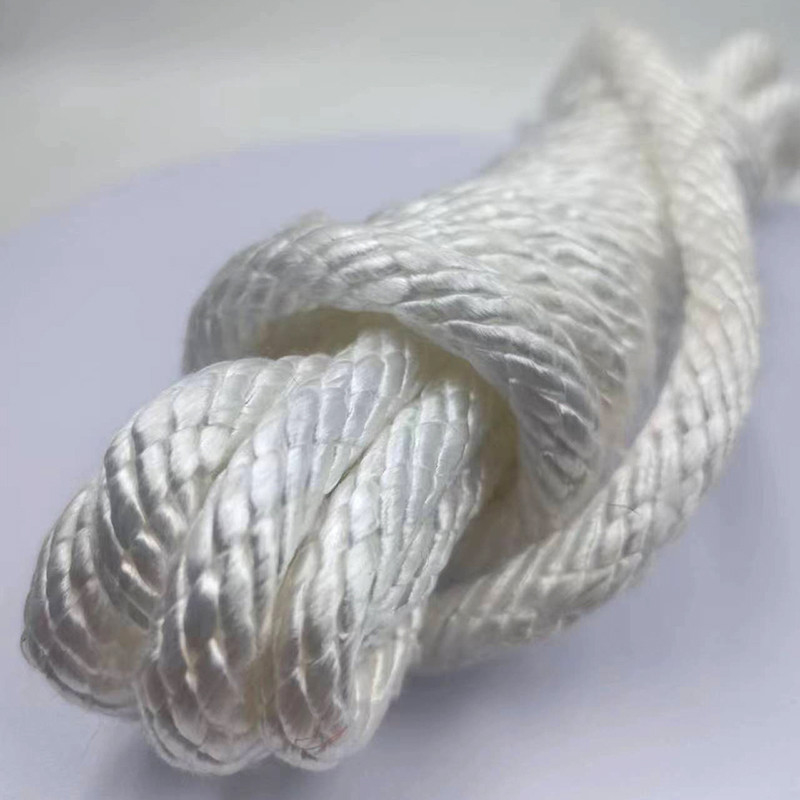 Rope à haute résistance 100% polyester 10 mm