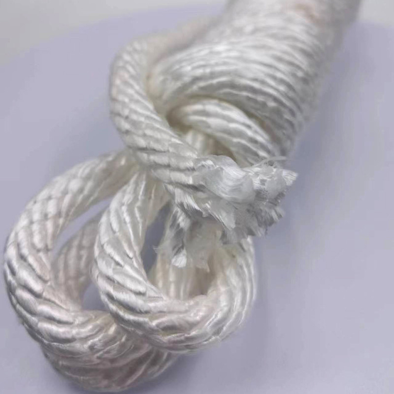 Rope à haute résistance 100% polyester 10 mm