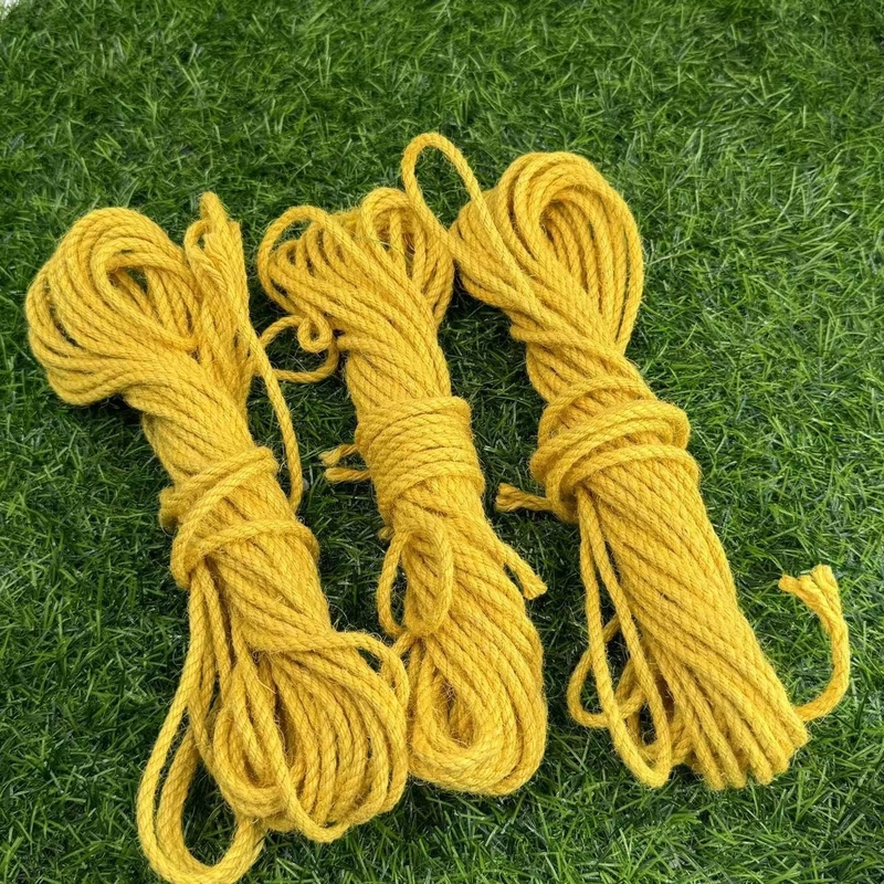 Décoration de vêtements Essentiel à haut frottement à plusieurs brins de jonc 30 ans d'expérience